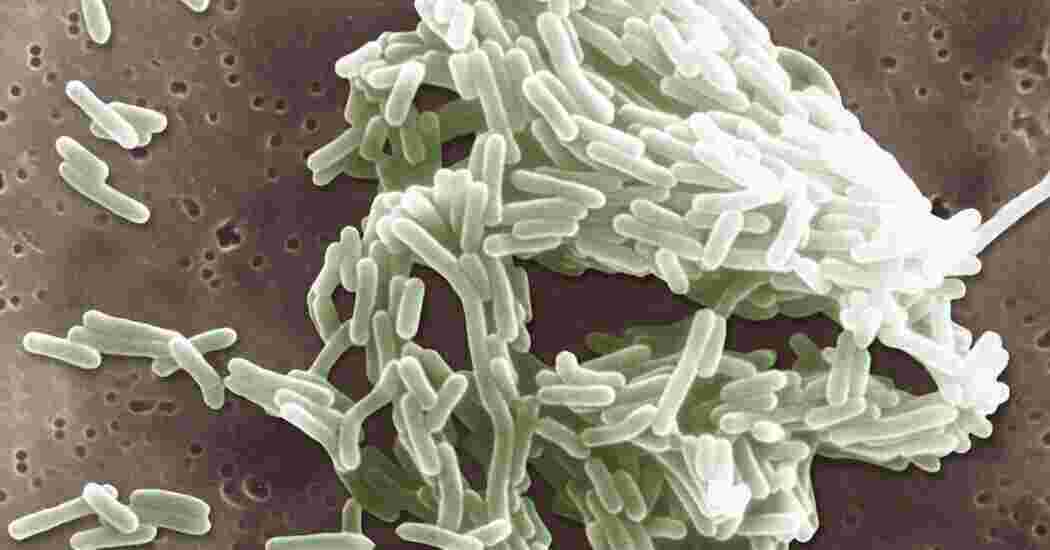 At Least 2 Dead in Listeria Outbreak Tied to Deli-Sliced Meat 